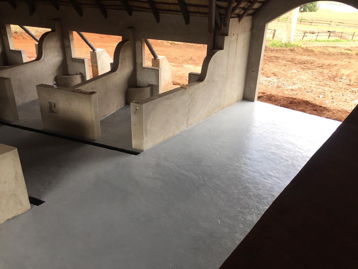 tracy 320m2 floor in zimbabwe for polo horses